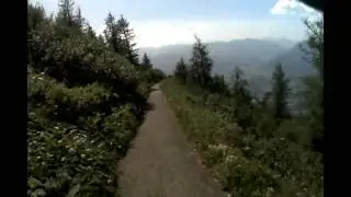 Curvy Road