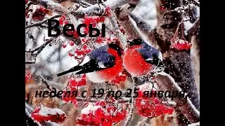 Весы таро прогноз на неделю с 19 по 25 января 2026 года. 
