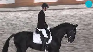 Турсунов Равиль и Паладин, Чемпионат РК по выездке,  71%, молодые лошади 4-х лет, Алматы, 23-06-23