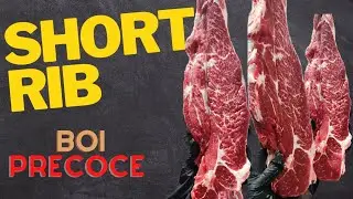 COMO FAZER SHORT RIB DO DIANTEIRO PRECOCE {Fabinho cortes de carne} (santa catarina)