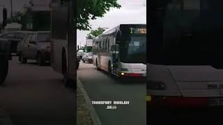 автобус MAN A21 Lion's city NL283 на 1 маршруте