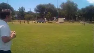 El tero es m&aacute;s malo que el le&oacute;n