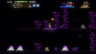 Magicite Mage Run no Health potions