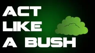 Act Like a Bush Series - On New Channel