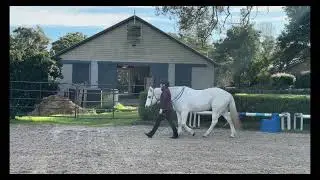 Slowevember exercise 4: Walking in sync