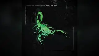 Minuit Machine - Danger