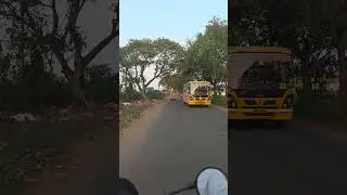 Another Blissful Bike Ride Through Nature&rsquo;s Green Tunnel | Relaxing Road Journey