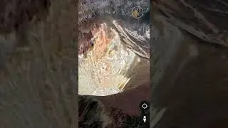 Keunikan Kaldera dan Kawah Gunung Gede #shorts #gununggede #pangrango