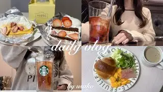 【vlog】頑張れない連休明け、好きなことで心を満たす社会人の日常🍰