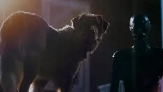 Good Boy (2025)| Indy Vs The figure