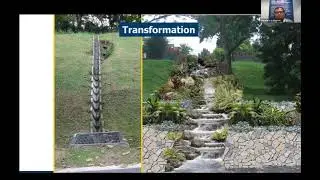 Wetlands For Water Sensitive Cities
