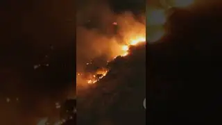 Part 3 #californiawildfires #lafoodscene #losangeleswildfires #supportlocalrestaurants