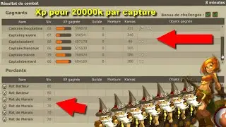 LA MEILLEURE ASTUCE POUR XP UNE TEAM RAPIDEMENT SUR DOFUS RETRO !