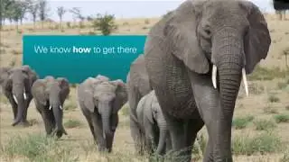 KPMG in Africa Promotional Video