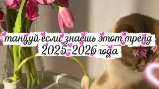 Танцуй если знаешь этот тренд 2025-2026 года #kamistory2015 #потрендам #залетипж #залети #врек #2026