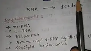 Requirements for translation process