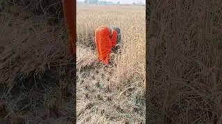 madam Chali dhaan kaatne#mi3 #viralvideo #minishort