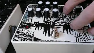 Old Blood Noise Endeavors Alpha Haunt Fuzz - Bass Demo