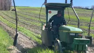 Spraying Christmas Trees with 670/Kubota