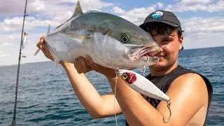 Topwater Carnage + Crayfish Bonus! Tuna, Salmon, Snapper & Kingfish Explosions
