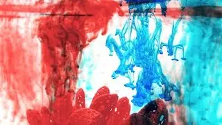Pantone Color of the Year 2019: DyeMansion loves Living Coral | Additive Manufacturing
