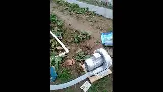 Ring blower for fish farming