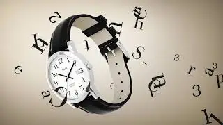 Timex Easy Reader Series - Men's Watches