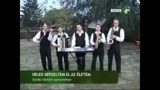 Aranyeső zenekar: Veled kepzeltem el xvid pcm