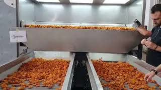 OS - 5000 Apricot Drying Machine