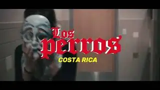 LOS PERROS de Costa Rica / La Revoluci&oacute;n de las Masas / Reel 3