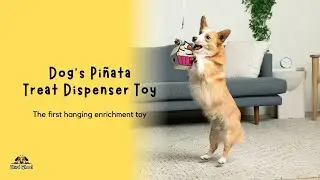 A PI&Ntilde;ATA FOR DOGS? This dog treat dispenser toy keeps them busy for hours!