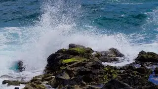 12Hours Roaring Sound of the Wave.