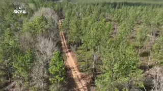 First look at Navy plane crash site, investigators arrive