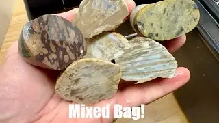 Cutting Rocks | Slabbin’ Sundays | Random Prospect Slabs!