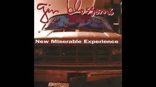 Gin Blossoms - Allison Road HQ (Audio)