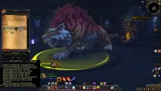 Wrath of the Tiger
