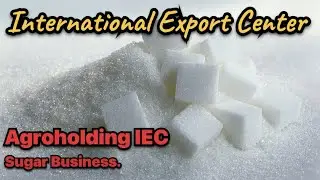 Sugar business. Sugar factory. Agroholding IEC. Agricultural industry.