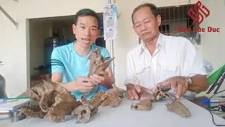 Phân biệt trầm hương thật và trầm hương giả.