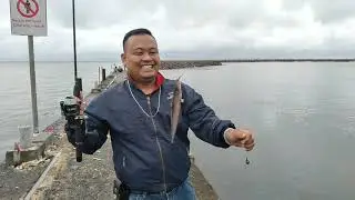 Mancing di ancol dan dermaga marina