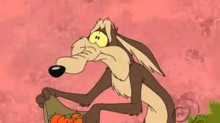 Hook Up Animation / LooneyTunes / Cartoon Network