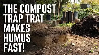 The &ldquo;Trap Compost&rdquo; Method That Builds Humus Faster