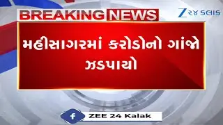 Weed cultivation busted at Vadadla village of Mahisagar, cops seize herb worth Rs 2 crores | Gujarat