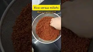 Rice versus millets: more protein? #shortsfeed