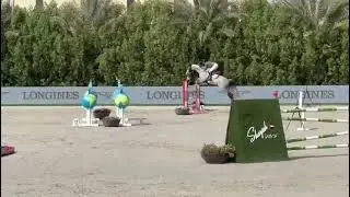 Granit , gelding 2016 by Mylord Carthago x Sable Rose