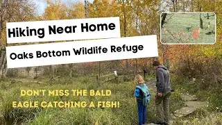 Family Hike at Oaks Bottom - with a Bald Eagle!