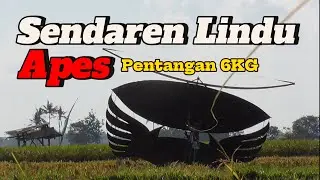 Bigsize Sendaren Lindu , Layangan Paling Horeg Berakhir