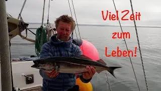 Segeln Island - Raufarhöfn nach Flatey #38 @XTRIP SAILINGXtrip Sailing