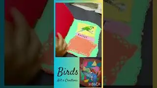 project file on birds #creative #birds #project #projectfile #schoolproject #juniorsenior
