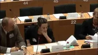 Jacqueline Hale Speaks to the European Parliament's Foreign Affairs Committee