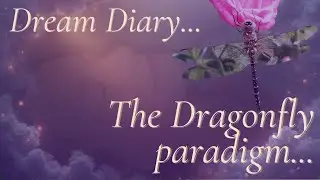 Dragonfly Dream Symbolism - Why Your Transformation Doesn't Need Suffering